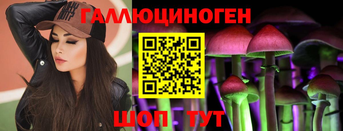 Полысаево  Псилоцибиновые грибы GOLDEN TEACHER  Вход с VPN 